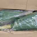 2 Pack Artificial Agave Plants 28 Inch Large Size Faux Succulent Stems Outdoor Decorating Realistic UV Resistant Tropical Plant Plantas Artificiales Decorativas Grandes - 29 Leaves, Dark Green