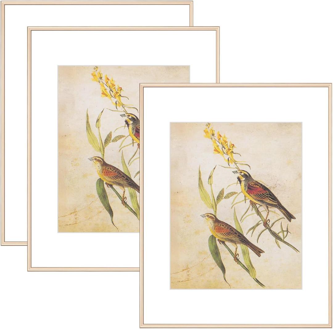 11x14 Picture Frame Set of 3, Brass Modern Aluminum Metal Photo Frame with HD Glass, Fits 8x10 with Mat or 11 x 14 without Mat, for Horizontal Wall Mounting