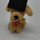 Graduation Dog Puppy with cap and certificate soft plush toy Elka(2025)