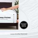 Royale Linens 6 Pack Queen Fitted Sheet Set - Bottom Sheet - Ultra Soft & Breathable - Brushed 1800 Microfiber - Wrinkle & Stain Resistant - Hotel Quality Deep Pocket Stretch Up to 16" (Queen, White)