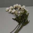 IPOPU White Artificial Poppy Flowers 6pcs Poppies White Artificial Flowers with Stems Silk Flower Arrangements for Wedding Centerpieces for Home Table Bridal Shower Party Decorations (White)