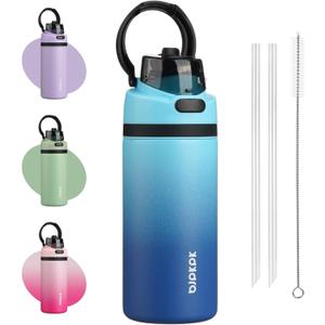 BJPKPK 17oz Insulated Water Bottle with 2-1 Straw Spout Lid, Stainless Steel Metal Water Bottles with Carry Handle, BPA Free, Leak-Proof, Fits in Car Cup Holder, Thermo for Sports,Sky