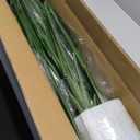 Artificial Bird of Paradise Plant, Fake Tree with Realistic Leaves and Durable pots, Adjustment-Free Branches Artificial Tree for Indoor Outdoor Home Decor (5FT 2Packs)