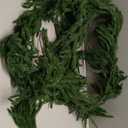 2 Pcs 6FT Artificial Norfolk Pine Garland, Christmas Real Touch Winter Pine Garlands Realistic, Green Greenery Garland for Mantle, Stairs, Fireplace, Wall, Door, Table, Indoor Holiday Xmas Decorations