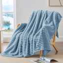 BEDELITE Fleece Throw Blanket for Couch - 300GSM Soft & Warm Fluffy Light Blue Blanket, Decorative and Giftable Striped Blankets for Women, Men, 50"x70"