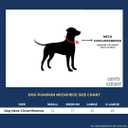 ComfyCamper Dog Halloween Costume Pumpkin Witch Neck Collar - Small Medium XLarge XXL Cosplay Scary Costumes, M (Black)