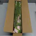 ATFL Artificial Satin Rose Flower Heads,42 Pcs Silk Rose Heads with Stems,3.5'' Rose Artificial Flowers Bulk,Artificial Rose Flower Heads for DIY Crafts Bouquet (42, Fall Pink)