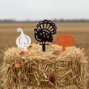 Weysat 3 Pcs Thanksgiving Turkey Metal Yard Decorations Thanksgiving Turkey Pumpkin Gourd Garden Stakes Fall Metal Yard Decorative Signs for Autumn Outdoor Lawn Patio Garden Decor