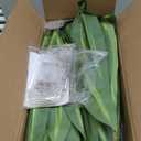 Artificial Dracaena Tree with Lights, 5Ft Fake Plants with Black Tall Planter - Fake Tree Tall Faux Plants Indoor Floor Plant with Moss - Artificial Plants Indoor for Office Living Room Home Decor (58in)