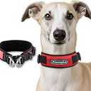 AnccoPlus Comfort Walking Dog Collar Size S Color Red