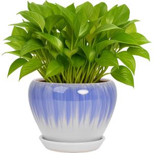 Deep Dream 6 Inch Plant Pots- Ceramic Planter Pot with Drainage Hole and Saucer, Round Flower Pot for Indoor Outdoor Succulent, Snake Plants and Cactus, White&Blue