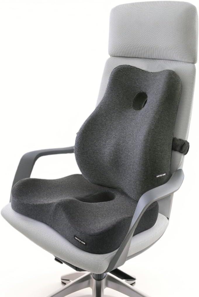 Seat Cushion and Lumbar Support Pillow Set, Sciatica Relieving Coccyx Cushion, Hemorrhoid Cushion, Chair Back Support, Ergonomic Cushion & Pillow, Office Chair Cushions for Back and Butt (Dark Grey)