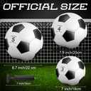 Soulchen 16 Pcs Gifts Soccer Balls Bulk with 2 Pcs Pump Size 5 Deflated Training Soccer Ball for Charity Youth Adult Sports Training Practice Game Play, 8 Color