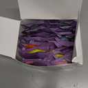 15 Pack Mosquito Repellent Bracelets, DEET-Free for Kids & Adults, Individually Wrapped Bands