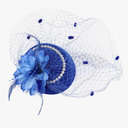 Fascinator Hat, Pillbox Hats for Women, Derby Hat for Women,Tea Party Hats, Feather Flower Pearls Hair Clip Headwear Veil