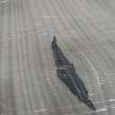 Vivacomfort Exam Table with Paper Towel Roll Dispenser - Medical Treatment Tables - Adjustable Physical Therapy Patient Examination Bed, Durable, Low Maintenance and Holds Up to 440 Lbs (Blue)