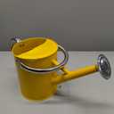 Metal Watering Can, One Gallon Watering Cans Stainless Steel for Outdoor Indoor Garden Plants Watering (Yellow)