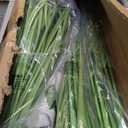 4ft/47in 2-Pack Artificial Plants Outdoor Indoor,Fake Onion Grass In Pot