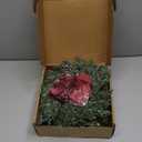 3 Pcs 20 Inch Christmas Cedar Wreath Artificial Greenery Wreath Winter Farmhouse Holiday Decoration with Red Ribbon Bow for Front Door Window Xmas Indoor Outdoor Home Decoration