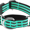 Hikiko Martingale Dog Collars Reflective Nylon Dog Collar with Quick Release Buckle Adjustable Training No Slip Dog Collar (Medium, Turquoise)