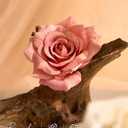 BSMYBO Artificial Flowers Combo Dusty Pink Flowers Bouquets Fake Roses Faux Floral Arrangements for Wedding Bridal Bouquets, Baby Shower, Floral Arrangement, Table Centerpieces, Home Decorations
