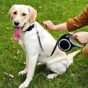 Retractable Dog Leash, 26 Feet Dog Leash for Small to Large Dogs up to 110lbs,Heavy Duty Design with Anti-Slip Handle, One-Handed Quick-Lock Braking System.