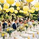 Treela 48 Pcs Paper Lanterns Party Decorations Chinese Round Paper Decor 4/6/8/10 Inch Asian Hanging Lamps Decorative for Graduate Wedding Birthday Party Bridal Parties Supplies(Yellow)