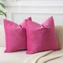 JUSPURBET Couch Pillow Covers Set of 2 Decorative Velvet 20x20 inch Throw Pillow Covers Cases for Modern Farmhouse Home Decor Soft Cushion Covers Cases with Hidden Zipper for Sofa Bed,Rose Red