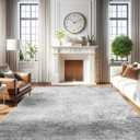 RUUGME Washable Abstract 8X10 Rug: Living Room Area Rugs Non-Slip Backing Neutral Stain Resistant Carpet for Bedroom Farmhouse Large Soft Indoor mats for Dining Room Office Entry 8X10 Grey