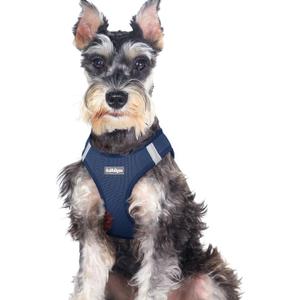 rabbitgoo Small Dog Harness, Step-in Soft Mesh Puppy Vest with Safety Buckle, Breathable Reflective Pet Harness for Large Dogs, Navy Blue XXL (Xxl(chest:21.6"-23.7"))