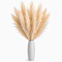 12 Stems, 40 Inch Natural Beige Dried Pampas Grass for Floor Vase Decor