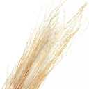 Branches for Vase, 3'4' Natural Birch Tree Branches for Decoration, Bundle of 10 Tall Decorative Sticks for Vases, Rustic Wood Branches for Crafts, Weddings, Seasonal & Home Decor - Gold