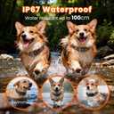3 x Small Shock Collar for Small Dogs1300FT Dog Training Collar with Remote4 Training Modes - IP67 Waterproof Rechargeable, Beep, Vibration, Safe Shock, IR for Small & Medium Dogs(5-30LbsGreen)