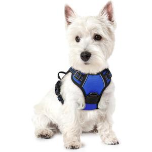 rabbitgoo Dog Harness No Pull with 2 Leash Clips, Adjustable Soft Padded, Reflective Oxford No Choke Pet Vest with Easy Control Handle for Puppy, Dazzling Blue,XS