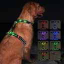 hamraba Light Up Dog Harness, No Pull Led Dog Harness with 10 Lighting Modes for Night Walking, Rechargeable Lighted Safety Vest for Medium Large DogsAdjustable Soft Nylon-Like Material (XL)