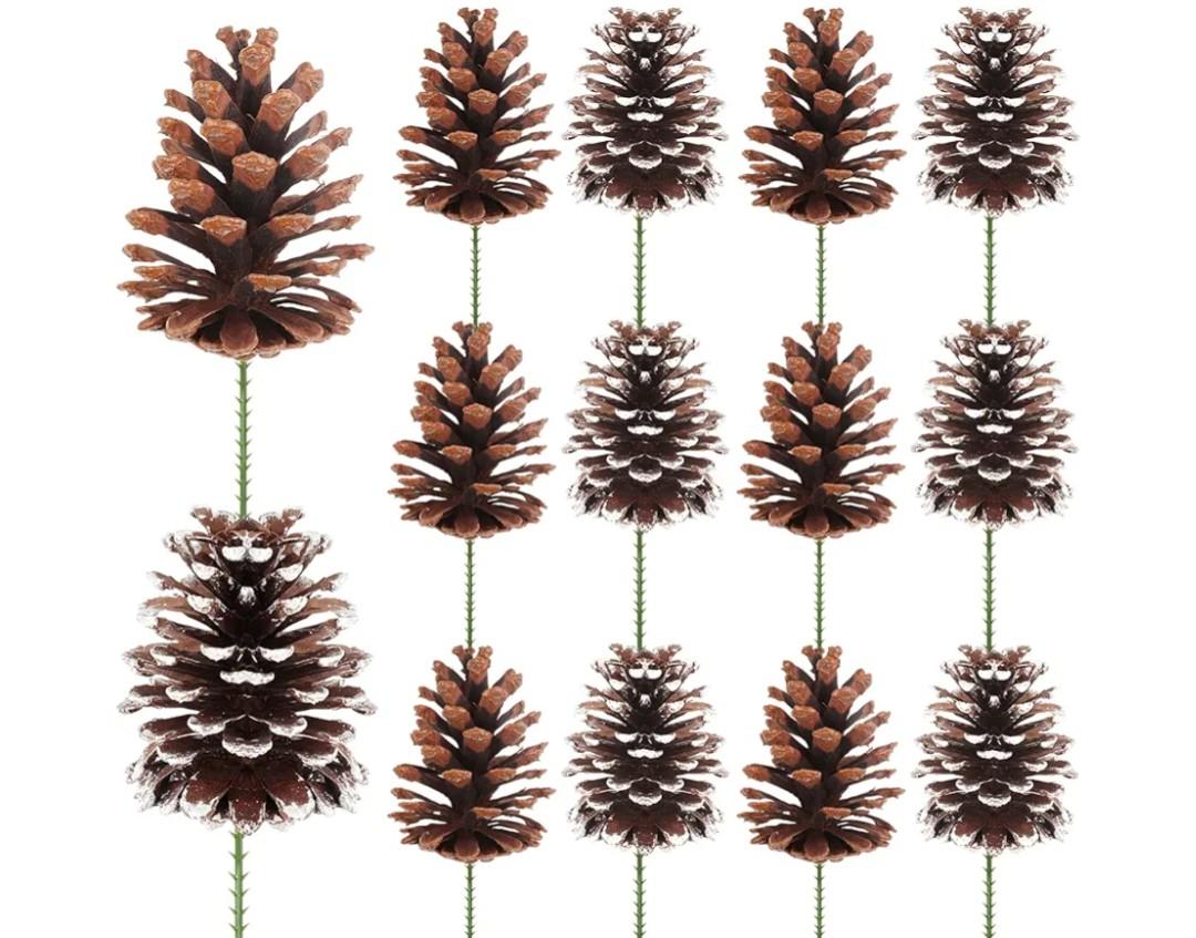 Fangoo 12Pcs 3.1-4.7in Large Natural Pine Cone Picks Snow Christmas Pine Cones with Stems for Crafts Holiday Wreath Garland Party Ornaments Flower Arrangement Fall Thanksgiving Decor (Natural White)