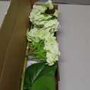 Waipfaru 21" Real Touch Hydrangea Artificial Flowers with Long Stem & Leaves, Full Latex Faux Hydrangea Flowers for Home Decor Party Floral Arrangements Wedding Bouquets Centerpieces, Green 3Pcs