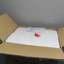 Brass Outdoor Wall Light Fixtures, Exterior Waterproof Lanterns, Porch Wall-Mounted Lights with E26 Socket and Glass Shade  Modern Rustproof Wall Sconces for Yard, Front Door & Entryway.2-Pack