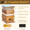 Beehive 10 Frame Bee Hives and Supplies Starter Kit, Bee Hive for Beginner, Honey Bee Hives Includes 1 Deep Brood Hive Box, 1 Bee Hive Super Box with Beehive Frames and Foundations