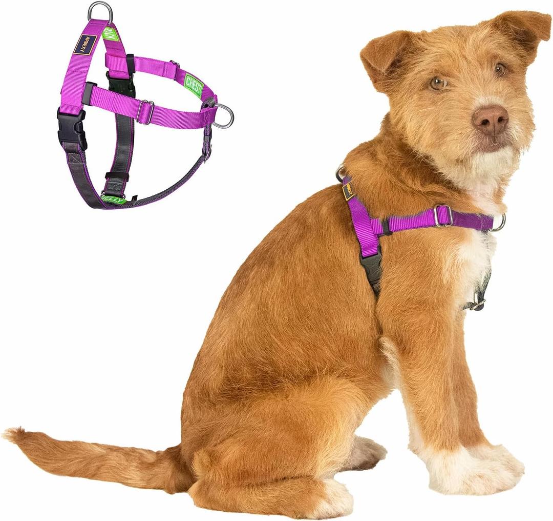 Freedom No Pull Dog Harness, Easy Walker, Front and Back Clips, Stop Pulling with 2 Stainless D-Rings, Sewn-in Instructions Tags for Easy Use, for Small Dogs Weight 20-30 lbs (Purple, Small)