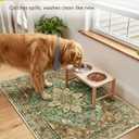 RELEANY Washable Area Rug, Runner 3'x20', Brick/Brown/Green