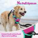 rabbitgoo Dog Harness No Pull with 2 Leash Clips, Adjustable Soft Padded, Reflective Oxford No Choke Pet Vest with Easy Control Handle for Large Dogs, Hot Pink & Turquoise, M