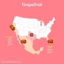 Spindrift Sparkling Water, Grapefruit Flavored, Made with Real Squeezed Fruit, (Only 15 Calories per Can), 12 Fl Oz (Pack of 23) (EXP 04/01/27)