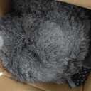 Ophanie 6x9 Area Rugs, Upgrade Non-Slip Fluffy Soft Rugs for Living Room, Large Shag Grey Fuzzy Plush Rug, Gray Shaggy Big Carpets for Bedroom, Kids Boys Girls Dorm Nursery Home Decor Aesthetic