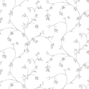 Norwall CK36608bolt Wallpaperfruit Trail Wallpaper Prepasted (White)