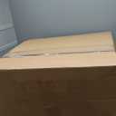 Litheli 2x20v Cordless Snow Blower Model No D10000850