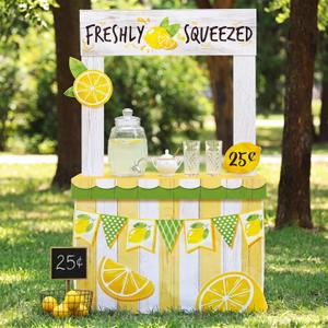 Briwooody Lemonade Stand Cardboard Display, 36 x 59 Inch Life Size Lemonade Stand Photo Booth Prop, Summer Party Decoration for Birthday Carnival School Event Fundraiser, 13 x 58 inches