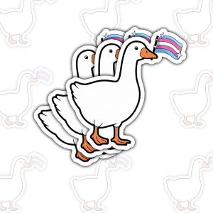 3 x 3pcs Silly Goose Pride LGBT Sticker Funny Rainbow Goose Meme Quote for LGBTQ+ Teens, Queer Friends, and Pride Month Gifts for Laptop Water Bottle Tumbler Phone Case Helmet 3in