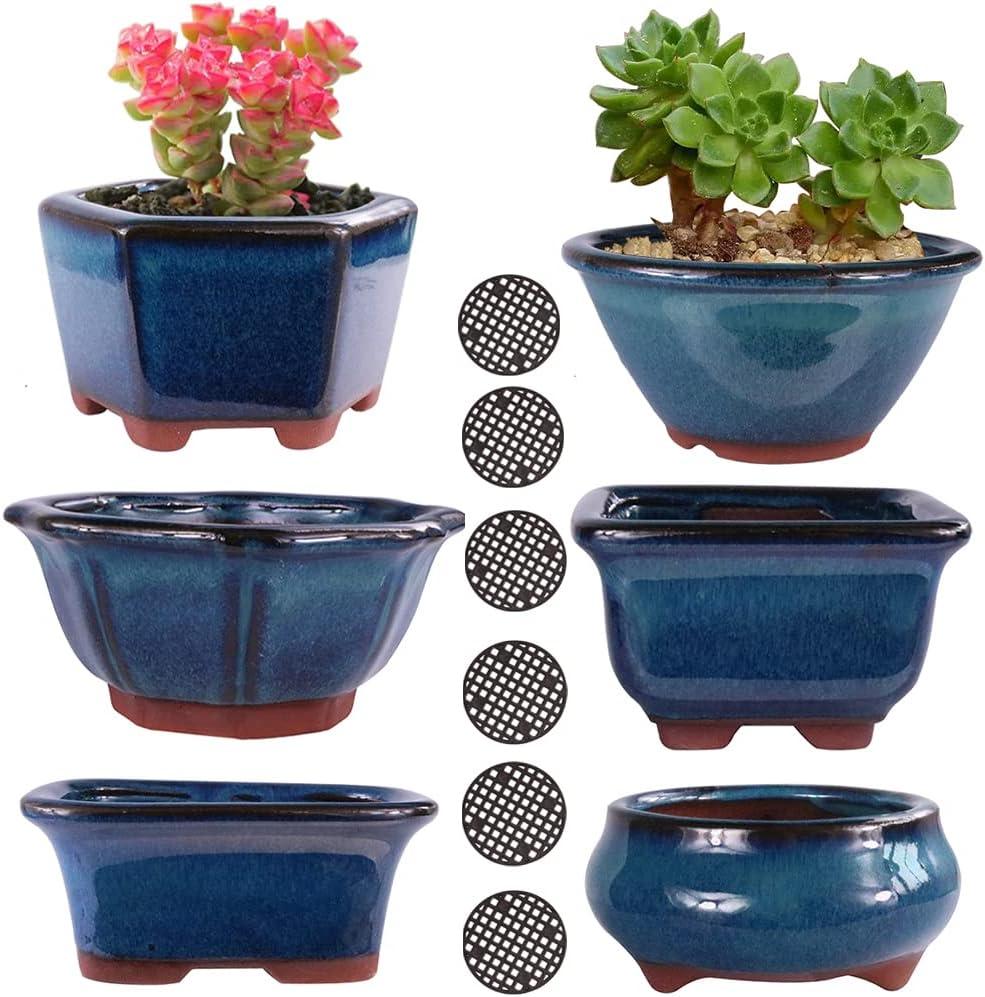 MUZHI 6PACK Glazed Bonsai Pot Planter 3" 4 Small Succulent Pots, Yixing Zisha Decorative Mame Bonsai Training Pot or Small Flower Cactus Starter Growing Planters Containers Blue