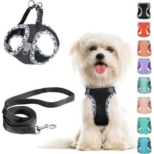 Black Leash Set - No Pull Adjustable Reflective Breathable Mesh Step-in Harness for Extra Small/Small Medium Dogs & Cats - Easy Walk, Outdoor Hiking & Training